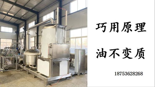 小魚小蝦真空油炸機自動脫油油炸機 現代化食品加工設備的革新應用