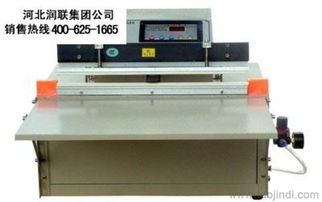 浙江紹興豆腐真空包裝機 雙室食品真空包裝機選購指南 - 廠家、價格與圖片解析